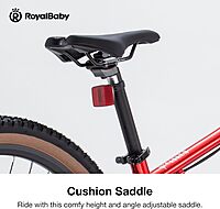 Royalbaby Bicicleta de montaña para niños de aluminio de 20/24 pulgadas Royalbaby Bicicleta de montaña para niños de aluminio de 20/24 pulgadas
