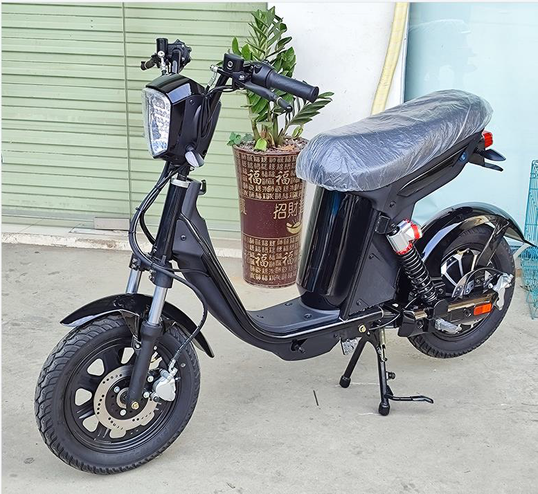 BICIMOTO E-BIKE OEM Household Electric Bike 48V
